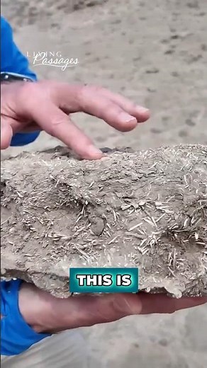 Frank Turek on Mud Brick Pyramids and Joseph in Egypt