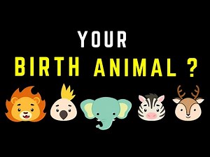Your Spirit animal based on your Birth month