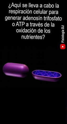 La célula preguntas y respuestas | Preguntas de la célula, su estructura y funciones