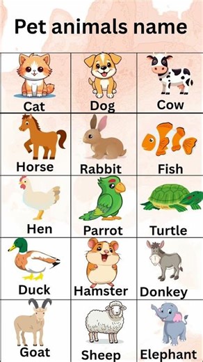 Animals | Pet animals | cat, dog, cow, hen.. #education #animals
