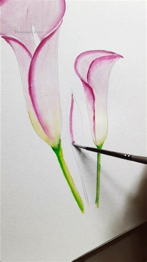 Calla Lily flower drawing #floraart #painting #flowerpainting