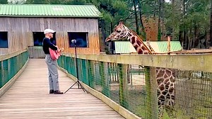Animals Respond To Man’s Singing