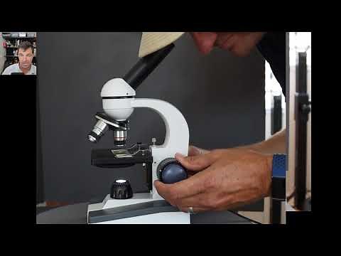 How to focus a microscope and take a picture with your phone