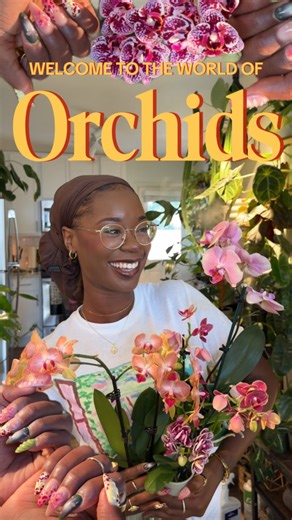 Blossom Effect on Instagram: "🌸Let’s talk about Orchids! 🌸 SAVE THIS FOR LATER! —— A lot of people get tricked up on these plants, but don’t worry they aren’t as hard as they seem! Today we’re talking about the following: - Stimulating growth - Repotting - Watering - Feeding 💅🏾 @nailsby.delina #orchid #plantmom #plantlover #plantsmakepeoplehappy"