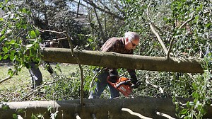 Updated impact of Delaware tornado: 1 killed and over 60 buildings damaged or destroyed