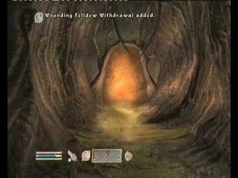 Shivering Isles Walkthrough - Addiction - Inside Dunroot Burrow - [2-3]