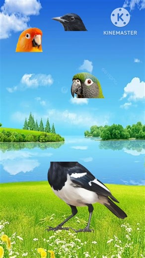 Nilpri lalpri sbar sathe vab kri.#vairalshort #youtubeshorts #foryou