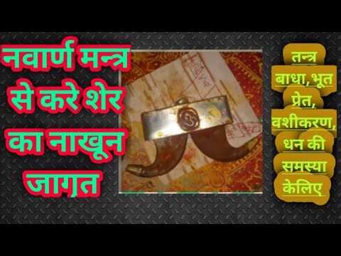 शेर के नाखून के फायदे /lions nail /sher ke nakhun ko jagrit kre nawarn mantra se ।।