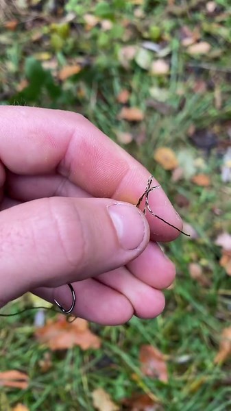 Fishing Hack + Carp Rig = Viral Montage You Need to See