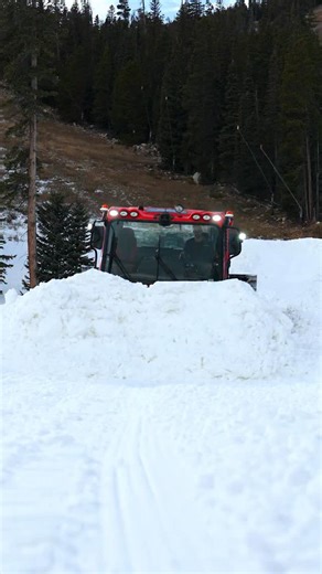 4.2K views · 54 reactions | Look at those cats go!! A big shoutout to our Grooming Team for absolutely crushing it this past week and getting the mountain ready for YOU! They do all their work behind the scenes, but we all get to see and enjoy their final product! #Eldora #CloserToYou | Eldora | Facebook