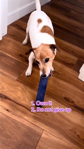 POV:Rock and roll approach to mastering a problem.