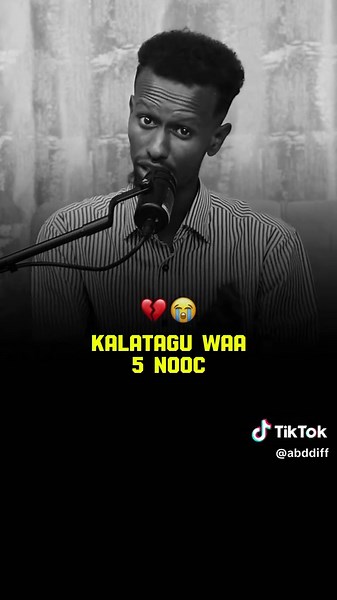 Incentives for TikTok Creators: Insights & Strategies