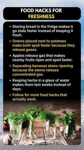 Food Storage Hacks That Actually Work