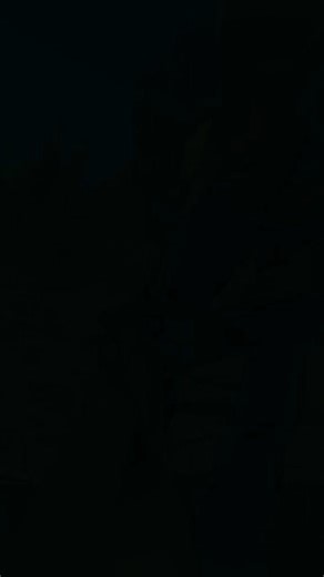 Our TMFR Firefighters are providing REMS support on the #TacomaCreekFire near Cusick, WA. The Fire has burned nearly 4,000 acres, and 90 percent contained. A REMS (Rapid Extraction Module Support) team is a specialized group of firefighters, focused on providing immediate medical and rescue support during high-risk operations, such as wildland firefighting. 🚒🪢⛰️ Captain Miguel Orduna, Engineer Austin Stowe, Firefighter/Paramedic Martin Rowson and Firefighter Juris Vaskovskis are on scene. We w