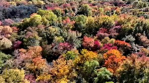 The most scenic places for leaf peeping across the United States