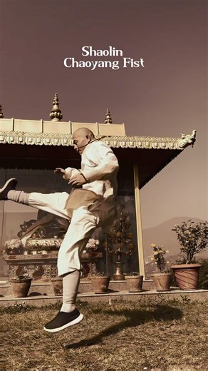 One-Breath Zen — Martial Arts.Shaolin Chaoyang Fist. #wushufight