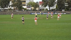 VFL Showreel, R8: Tom Mitchell highlights