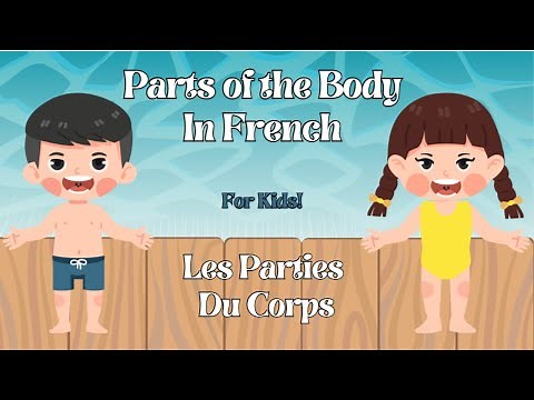 Learn Body Parts in French for Kids | Body Part Vocabulary!