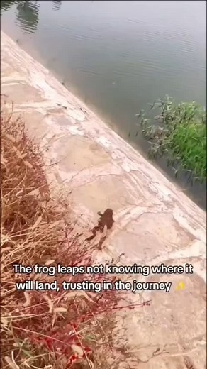 frog_fall on Instagram: "Day 32"