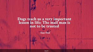 45+ Funny Dog Quotes