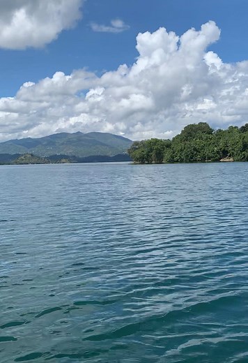 Join us as we discover #SwimmingCows in the crystal clear water of Lake Kivu It’s not just a tour – it’s a unique story of harmony between nature, animals, and local life. 🌊✨ Whether you're solo, with friends or family, this is a must-do in #Rwanda 🇷🇼 Book your experience now! 📞 250 789 474 864 📧 visitlakekivu@gmail.com 🌍 www.visitlakekivu.com #fyp #LakeKivu #VisitRwanda #TravelAfrica #LocalExperience #BoatTour #NatureLovers #UniqueTravel #CulturalExperience #EcoTourism