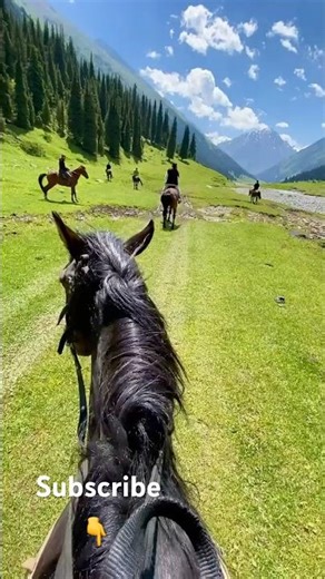 Riding Into a Hidden Mountain Valley | Epic Horseback Short #nature #travel #viral #animals
