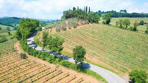 Wine tasting & appetizers.mp4