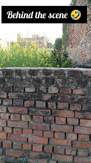 Behind the scene 🤣 #shortsfeed #shorts #youtubeshorts