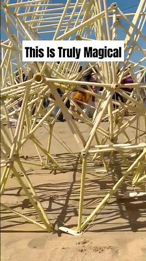 New Strandbeest in 2026 From Artist Theo Jansen!