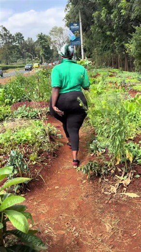 Starting a Kitchen Garden After Early Retirement