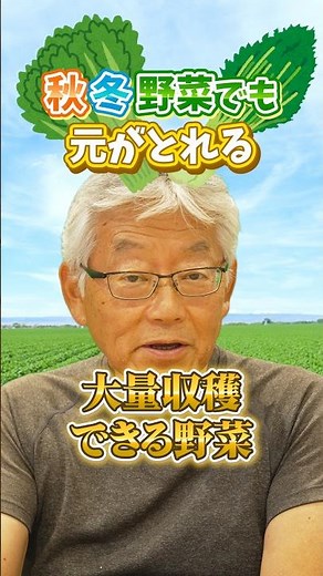 High-Yield Fall and Winter Vegetables for Your Home Garden or Farm! [Direct from the Farmer] #shorts
