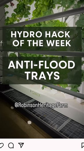  Flooding problem? Solved — farm-style! We turned our microgreens...