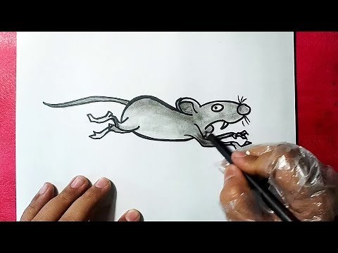 How to Draw a Rat Running || Quick and Easy Ways || YZArts