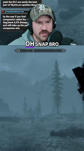 Skyrim Streamer's Epic Dragon Hunt in Misty Mountains!