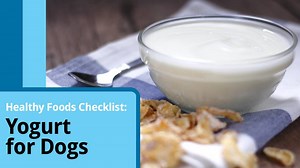 97K views · 570 reactions | Most dog foods on the market won't contain yogurt, but it can provide many benefits when added to your dog's regular food. Learn more. | PetMD | Facebook