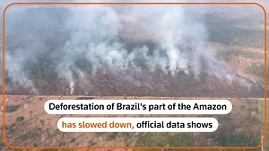 Deforestation in Brazil's Amazon drops 34% in first half 2023