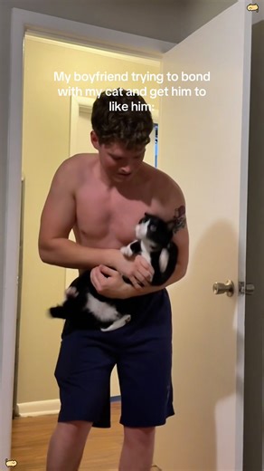 When a cat shows attitude 😼 #fyp #catsoftiktok #cat #catlover #funnyvideos