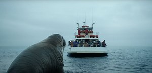 Ad of the Day: Mum proudly speaks ‘walrus’ in surprising finance spot