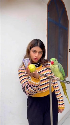 🦜पैसे चुरा लाया तोता🥰#Parrot #video #training 👌❤️#Parrot #dosti #video #pigeon #video #comedy