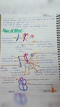 Human physiology complete chapter 2(Body fluids and circulation) handwritten notes