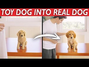 TURNING TOY INTO REAL DOG! - VFX Magic Trick 🔥