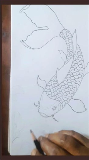 Easy koi fish drawing for beginners #shorts #koifish #viral