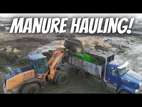Time to Haul Manure!