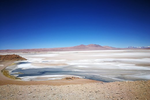 Chile: ¿Qué está en juego en el Salar de Atacama?