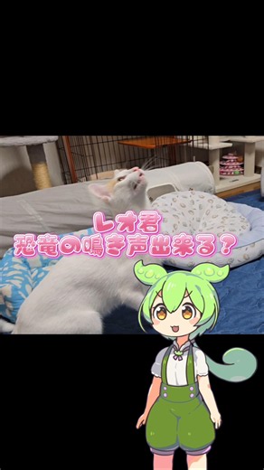 レオ君、恐竜の鳴き声出来る？