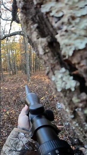 Deer hunting with the inline muzzleloader! #deerhunting #shorts #deerseason