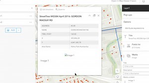 Problem: Pop-ups in an ArcGIS Online Web Map Display Broken Image Thumbnails