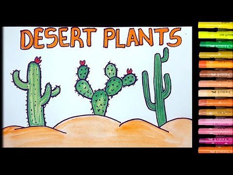 how to draw desert plant easy | cactus drawing