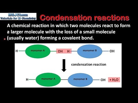 B.1 Hydrolysis and condensation reactions (SL)