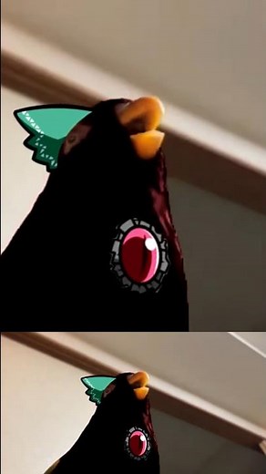 Top 5 Touhou Birds | #touhou #touhouproject #touhoumemes #fypシ゚viral #fyp